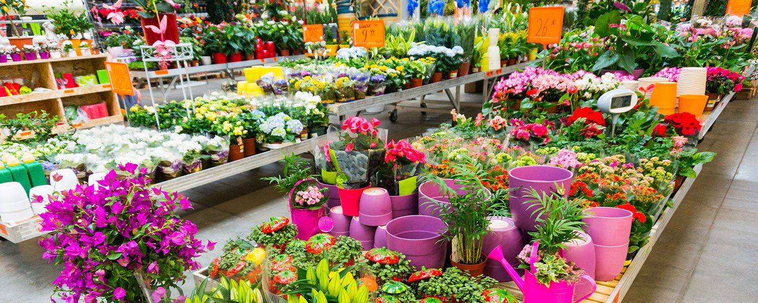 Garden Centre insurance: A range of gardening products including flowers and pots.