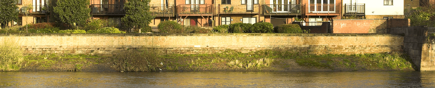 Case Study: A cluster of houses facing the sea.